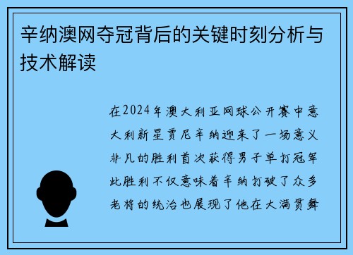 辛纳澳网夺冠背后的关键时刻分析与技术解读