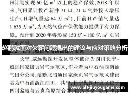 赵鹏就面对欠薪问题提出的建议与应对策略分析