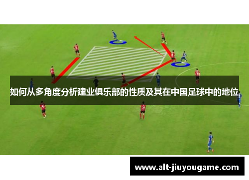 如何从多角度分析建业俱乐部的性质及其在中国足球中的地位